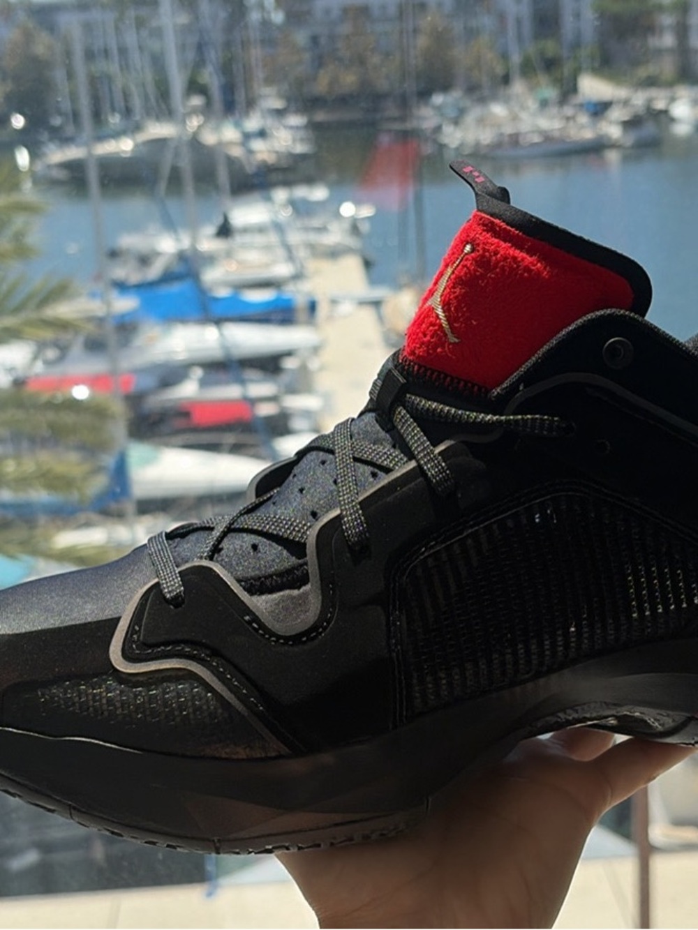 Rare Air Jordan XXXVII Low